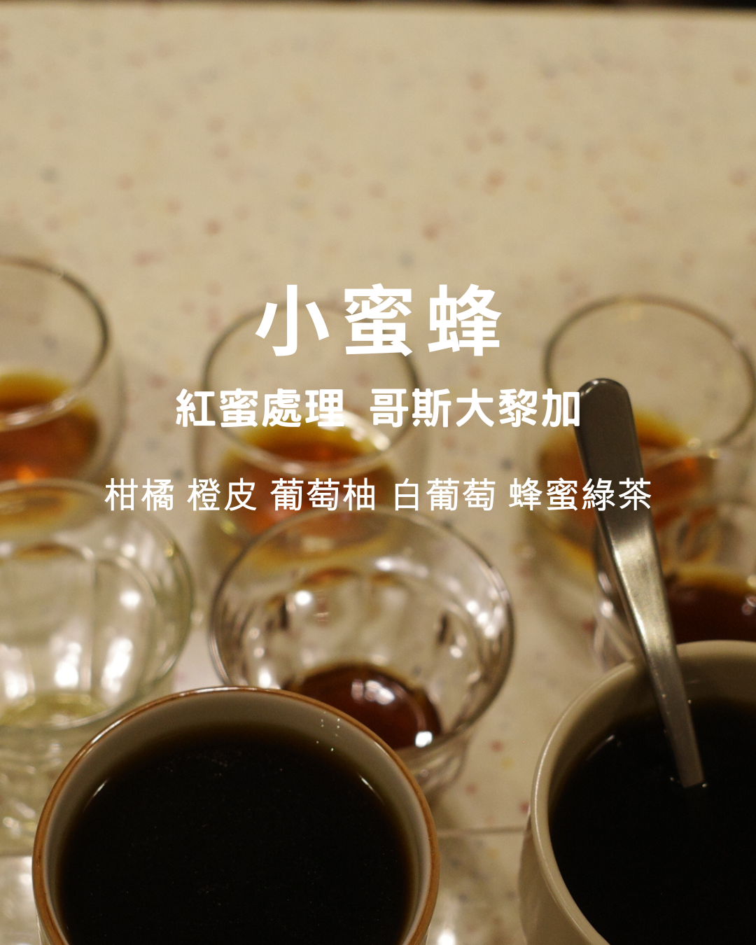 淺焙【 小蜜蜂 】紅蜜 哥斯大黎加