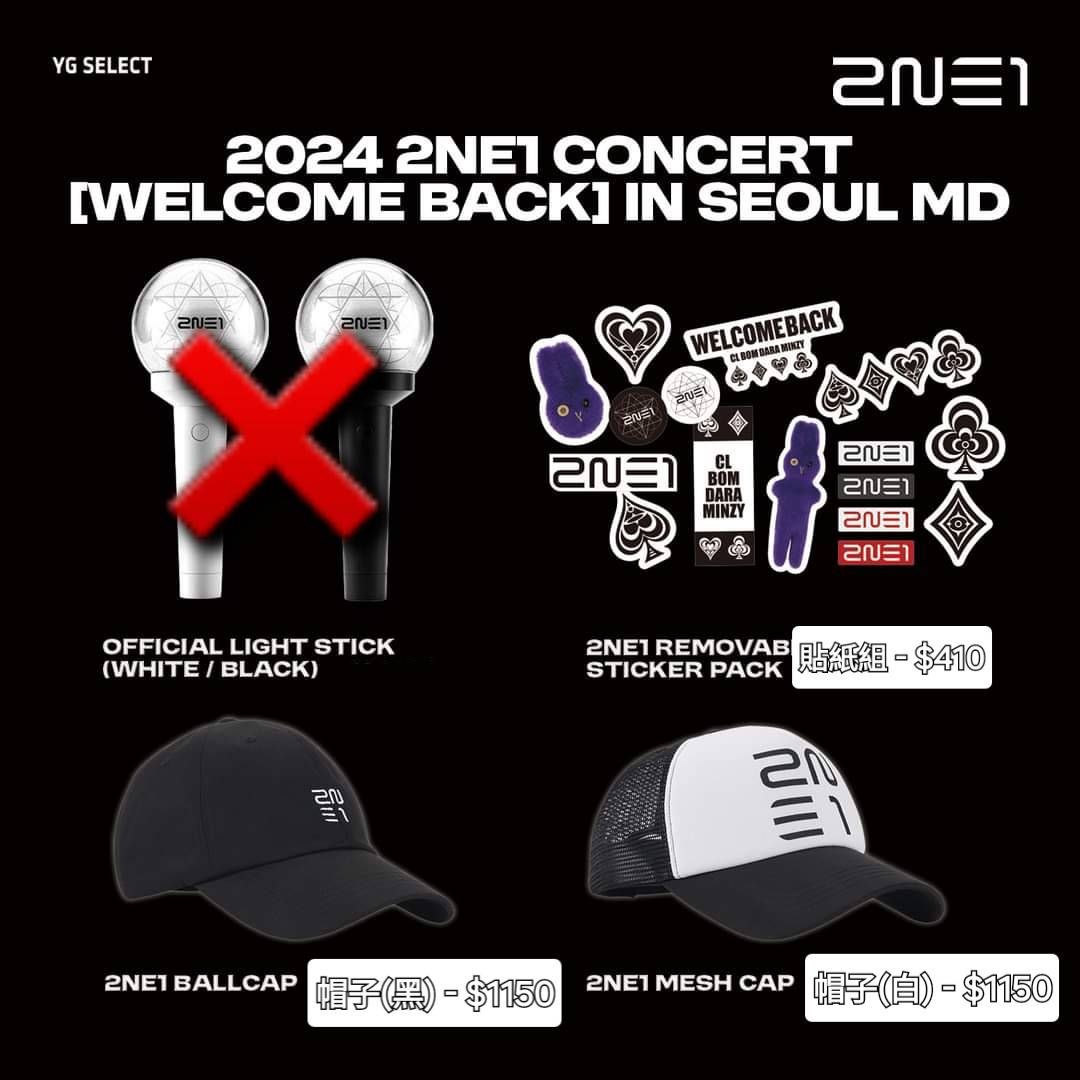 1102_2NE1首爾場周邊_國際運費