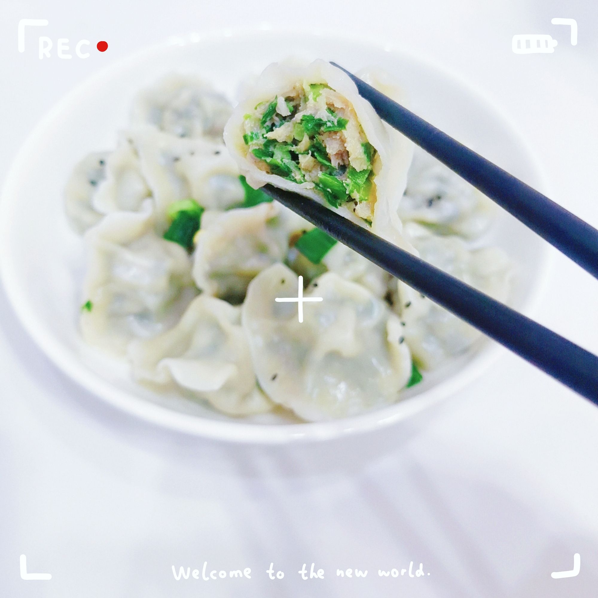 山茼蒿水餃-冬季限定