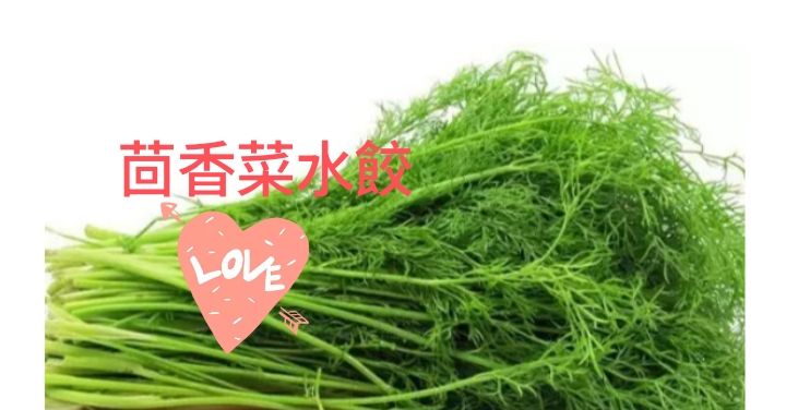 純素茴香水餃（季節快要結束