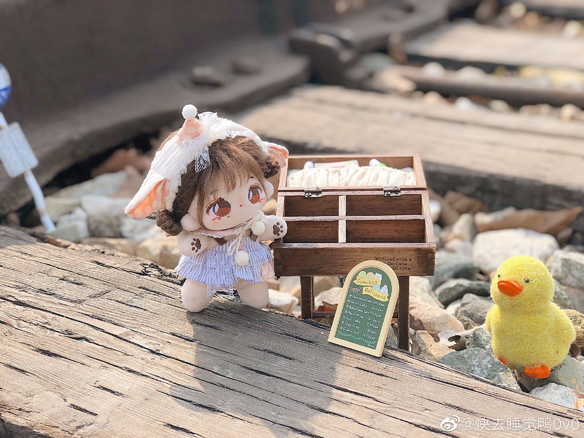 20/10公分快去睡覺鴨
