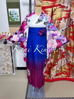 二手二尺袖單品（多款）