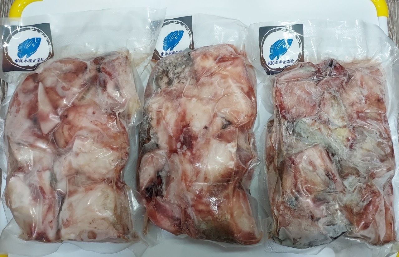 龍膽石斑 白旗丁 旗碎