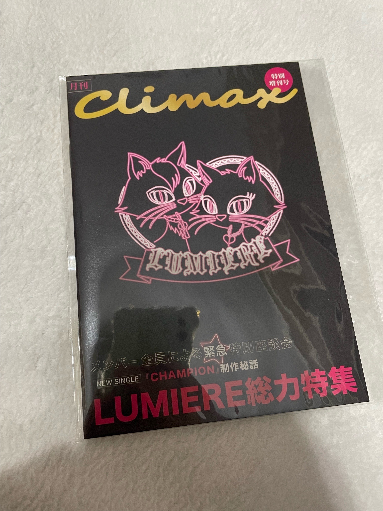 ディアヴォ LUMIERE 總力特集小冊子