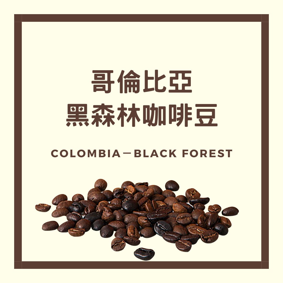 DICTATOR 哥倫比亞黑森林 濾掛咖啡