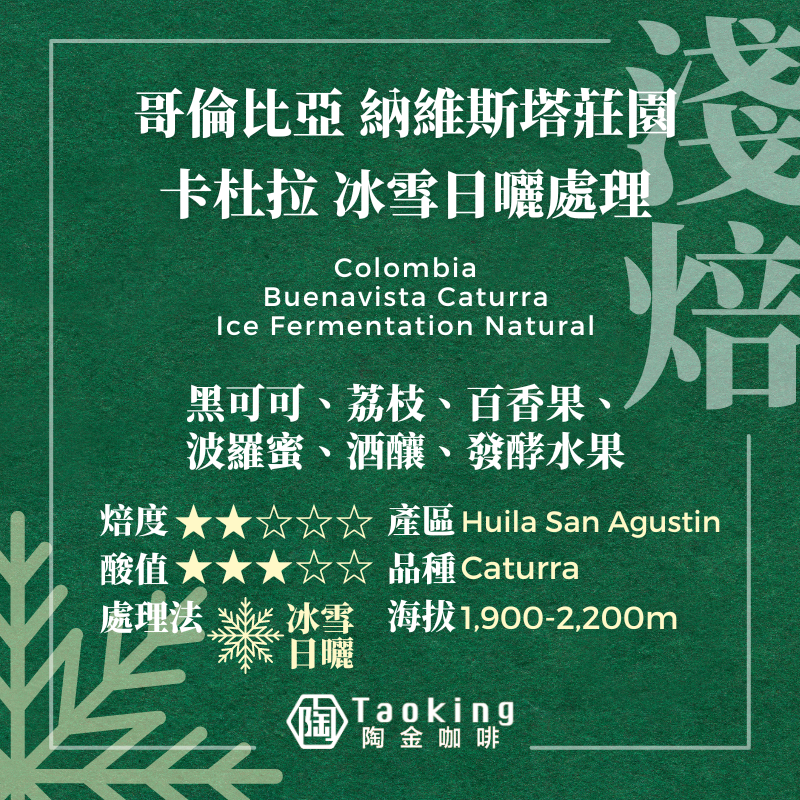 哥倫比亞/納維斯塔莊園 卡杜拉 冰雪日曬處理 淺焙