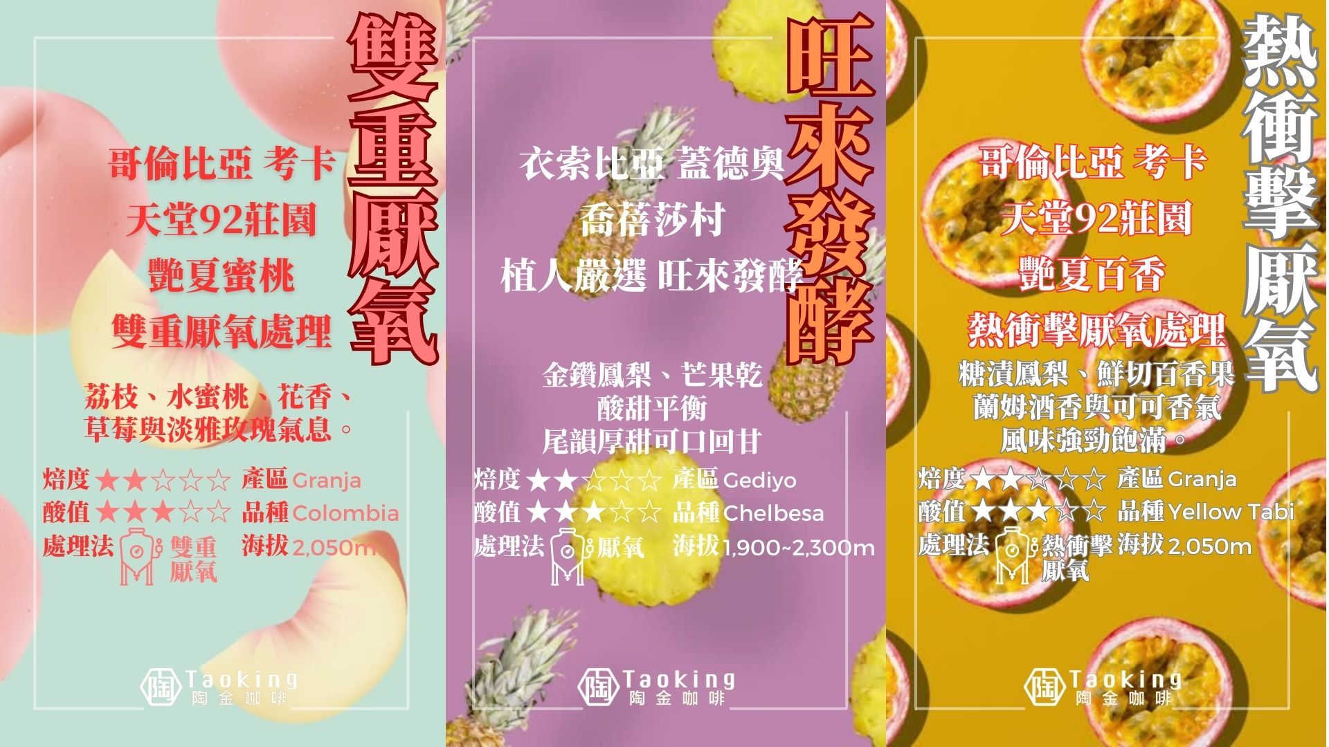 試飲家-特殊處理法 三包組合 淺焙