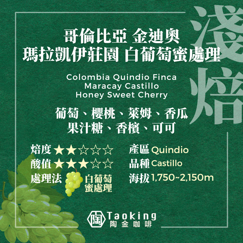 哥倫比亞 金迪奧 瑪拉凱伊莊園 白葡萄蜜處理 淺焙