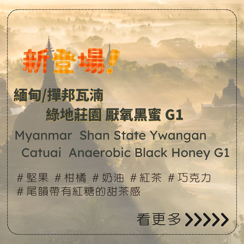 緬甸/撣邦瓦湳 綠地莊園 厭氧黑蜜 G1-淺中焙