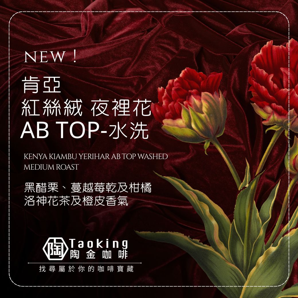 肯亞 紅絲絨 夜裡花  AB TOP-水洗 中焙
