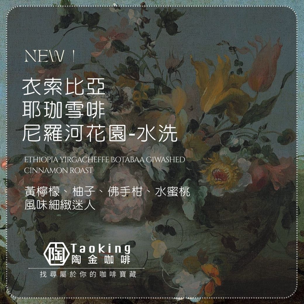 衣索比亞 / 耶珈雪啡 尼羅河花園-水洗 淺焙