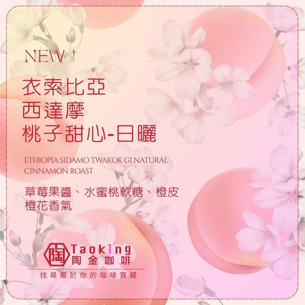 衣索比亞/西達摩 桃子甜心-日曬 淺焙