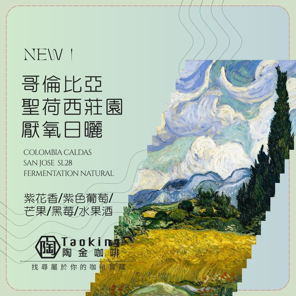 哥倫比亞/聖荷西莊園 -厭氧日曬 淺焙