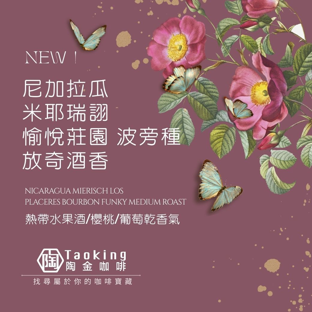 尼加拉瓜/米耶瑞詡 愉悅莊園 波旁種-日曬酒香 淺中焙