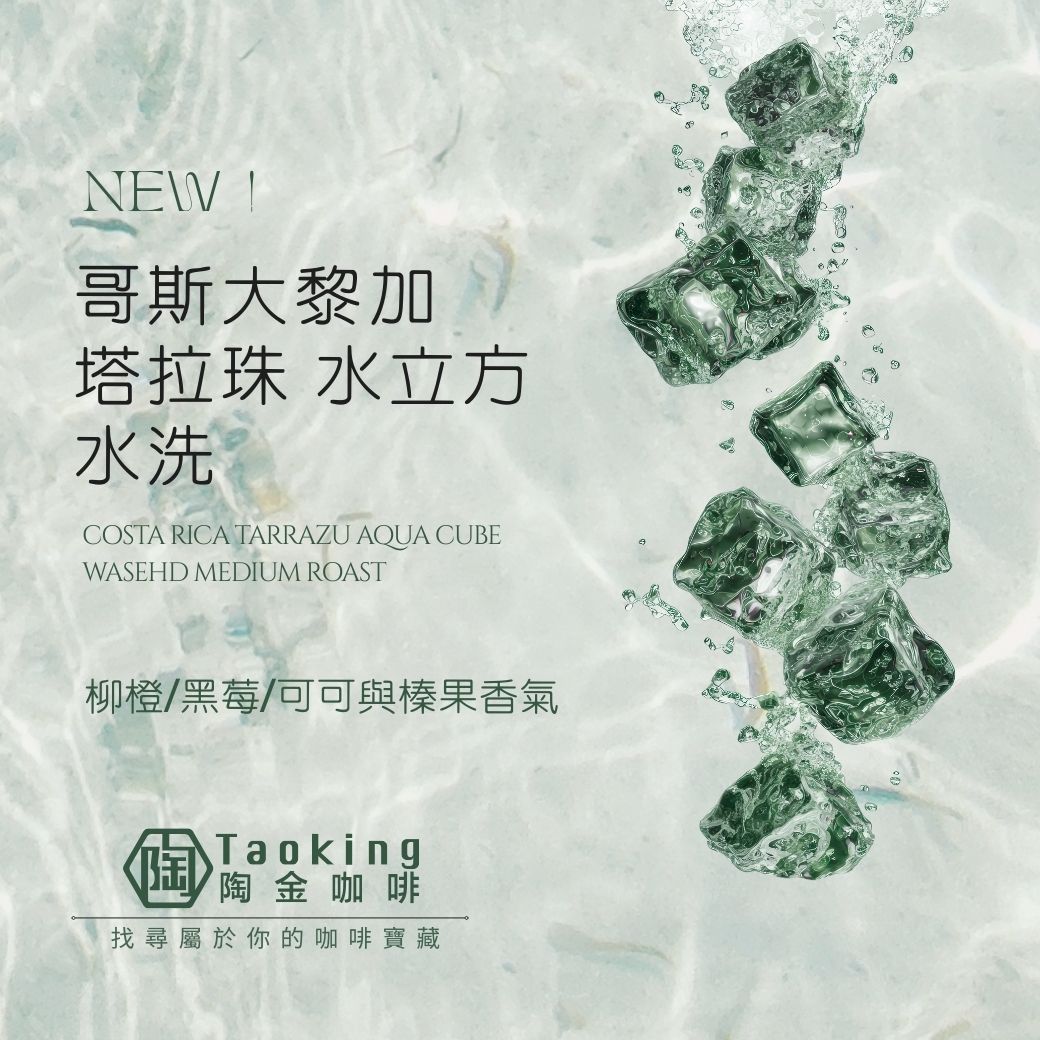 哥斯大黎加/塔拉珠 水立方-水洗 中焙