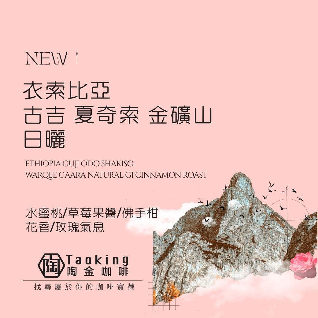 衣索比亞/古吉 夏奇索 金礦山-日曬 淺焙