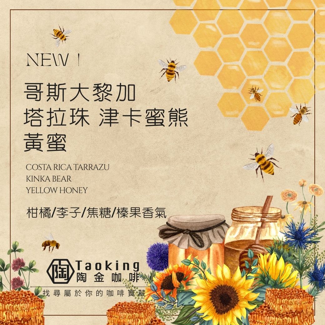 哥斯大黎加 塔拉珠 津卡蜜熊 黃蜜 中焙