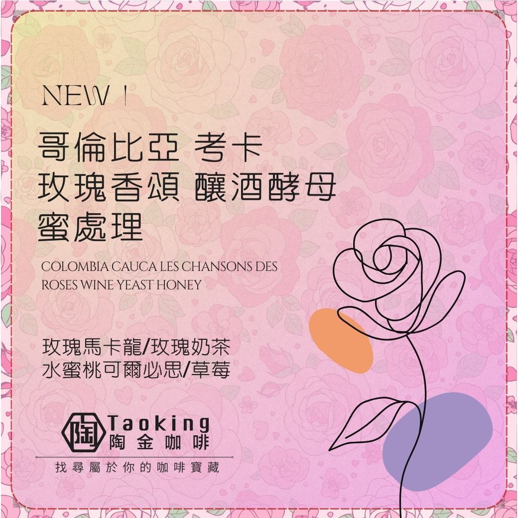 哥倫比亞 考卡 玫瑰香頌 釀酒酵母 蜜處理