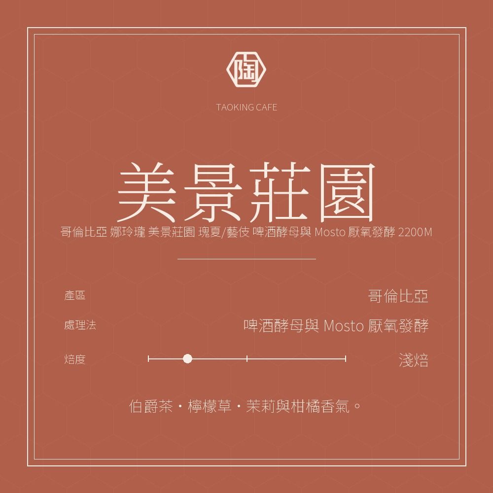 哥倫比亞 娜玲瓏 美景莊園 瑰夏/藝伎 啤酒酵母與 Mosto 厭氧發酵 2200M 淺焙