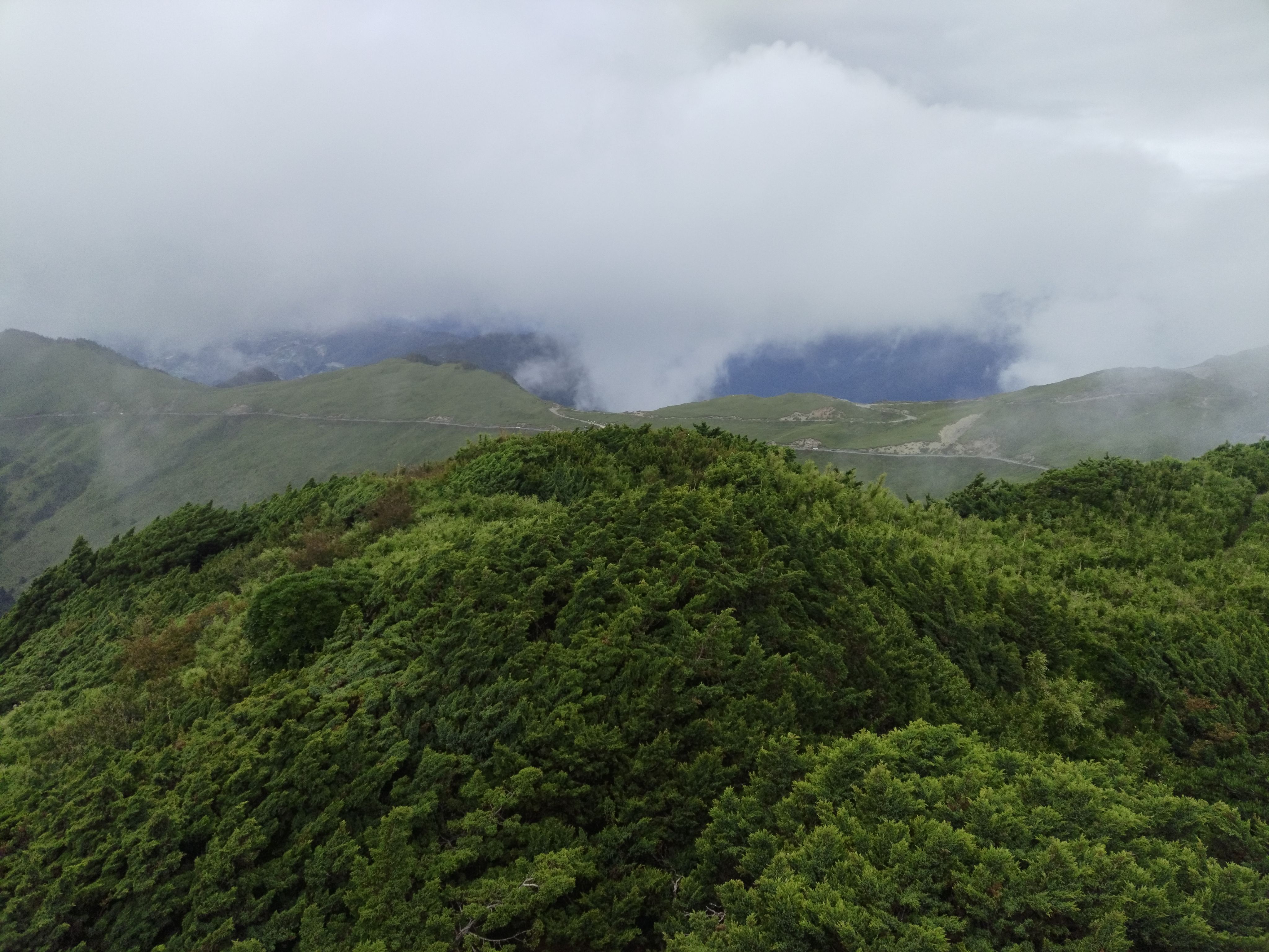 雅琪阿姨專屬包