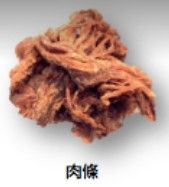 豬肉條
