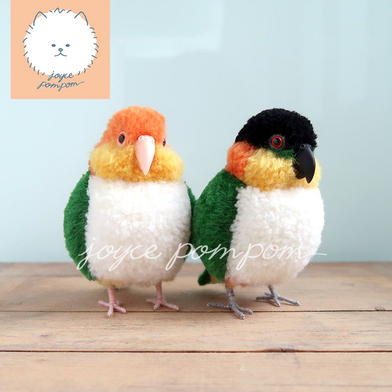 凱克鸚鵡 金太陽 鳥娃娃 動物毛線球