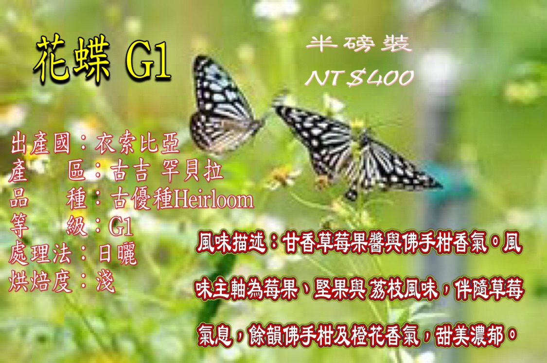 花蝶 G1 古吉 罕貝拉 日曬 淺焙