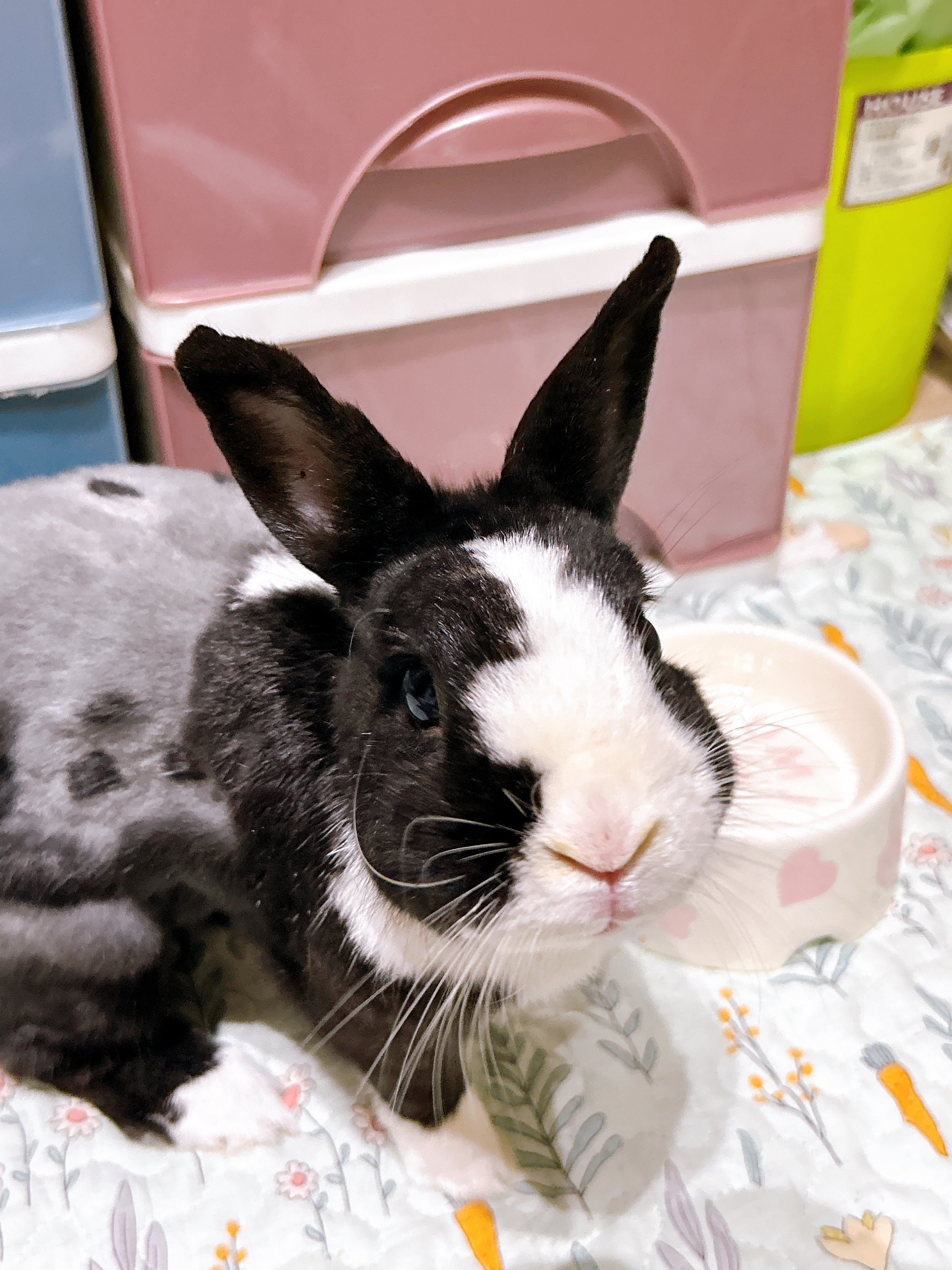 客製專用（勿隨意下單）