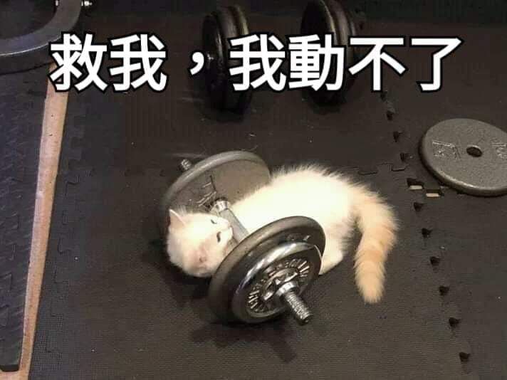 手續費＆加購眼鏡＆限定下標