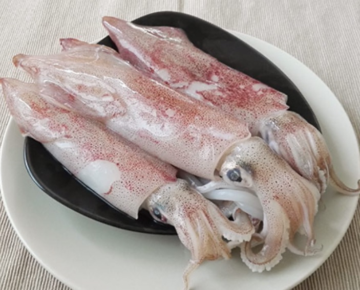 活凍透抽