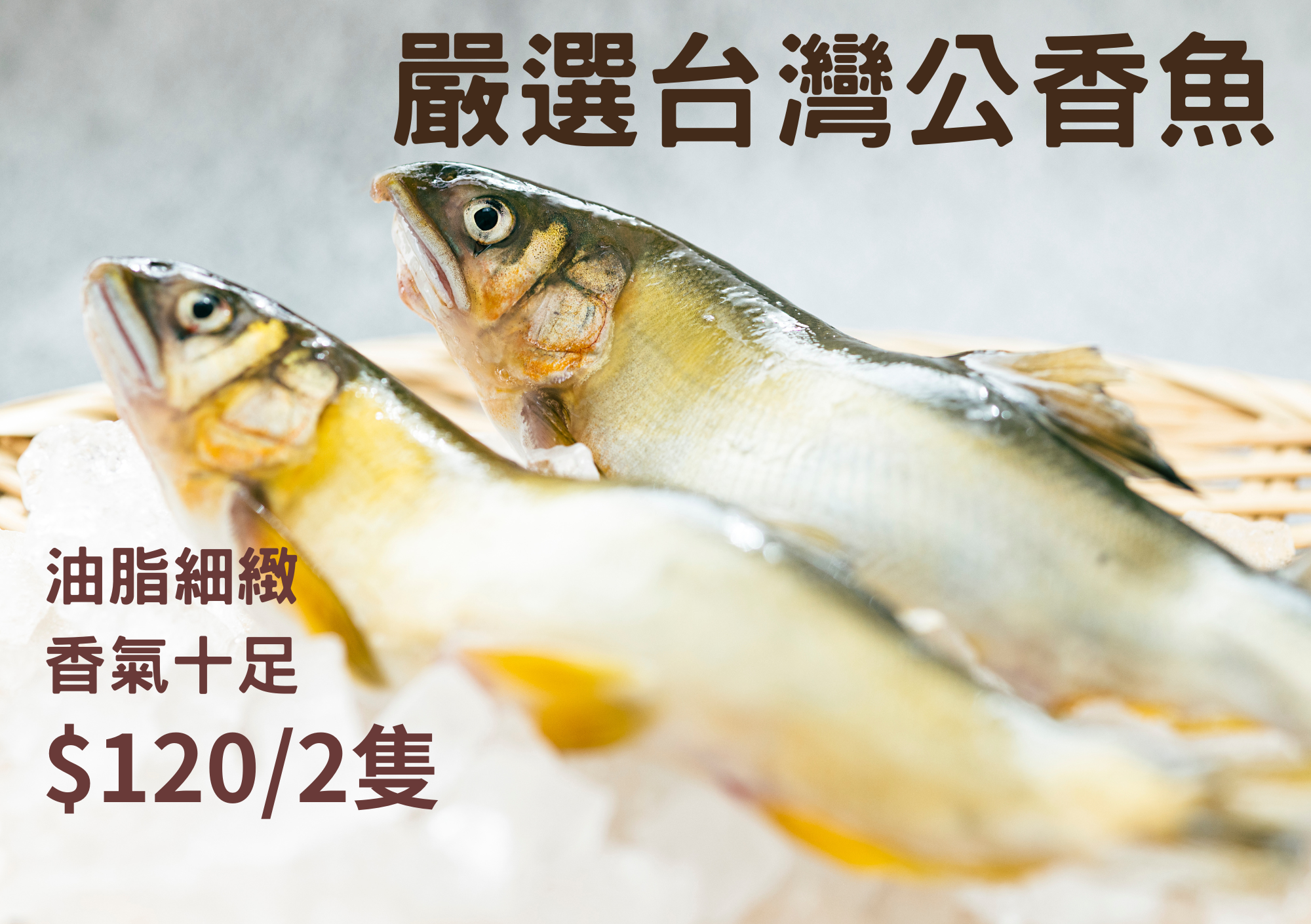 嚴選台灣香魚2隻