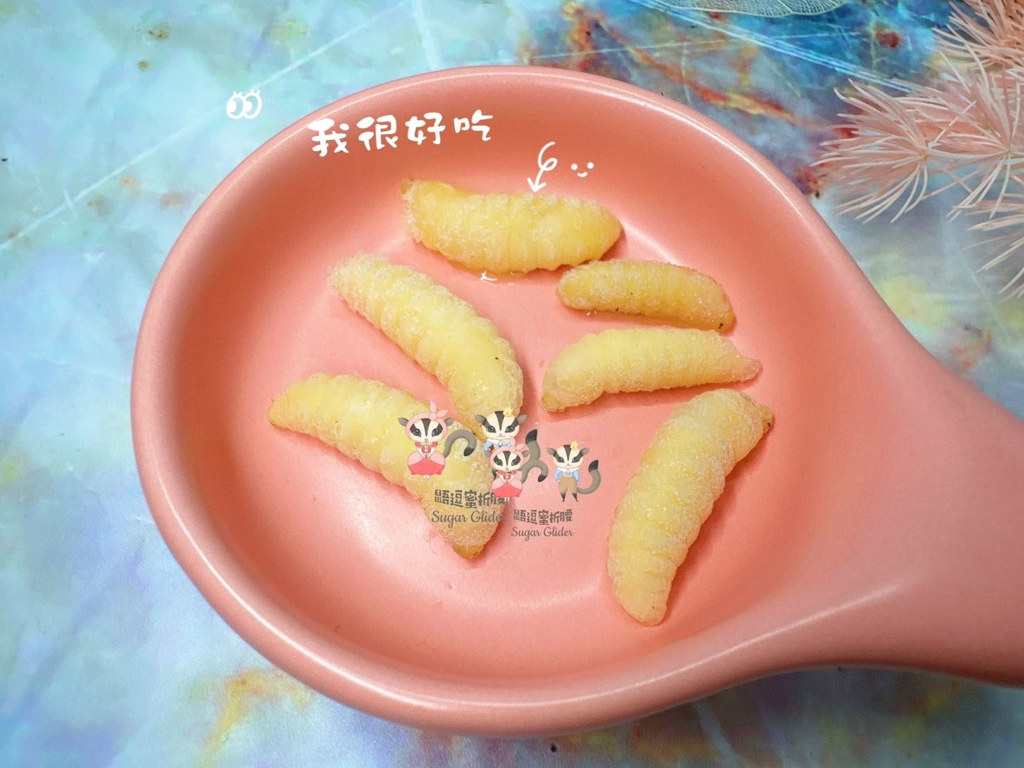 限量虎頭蜂蛹隨手包