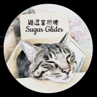 蜜袋鼯硅藻土杯墊