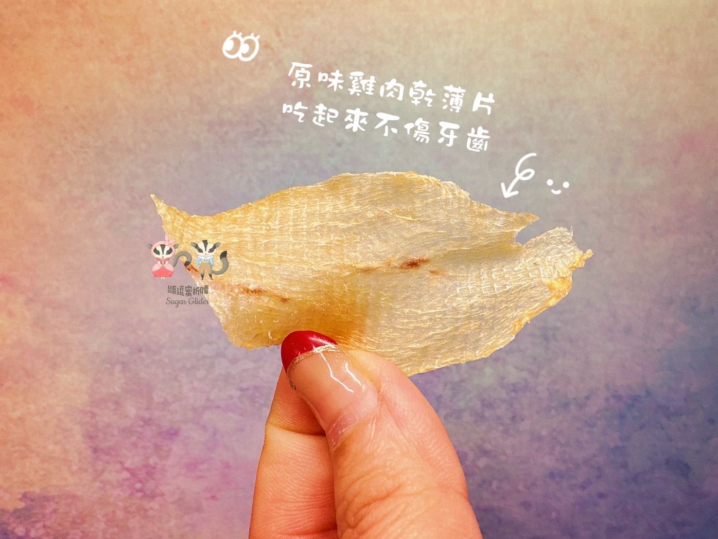 手工薄片雞肉乾（狗狗/貓咪/蜜袋鼯/狐獴/鼠鼠都能食用）