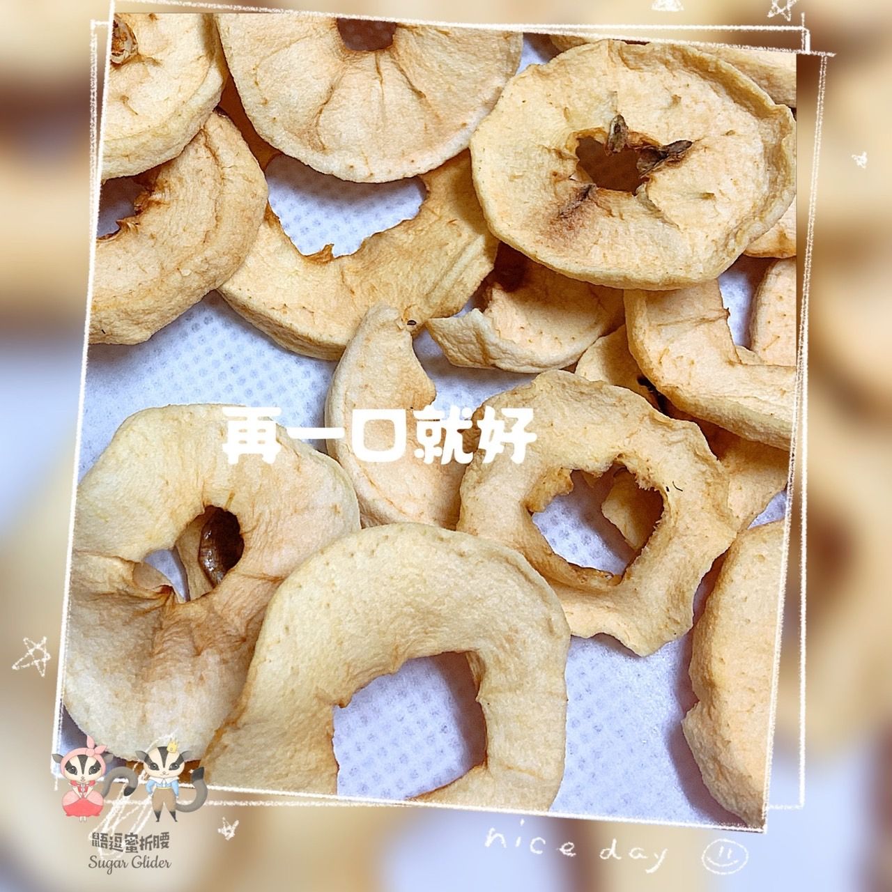 好吃蘋果乾
