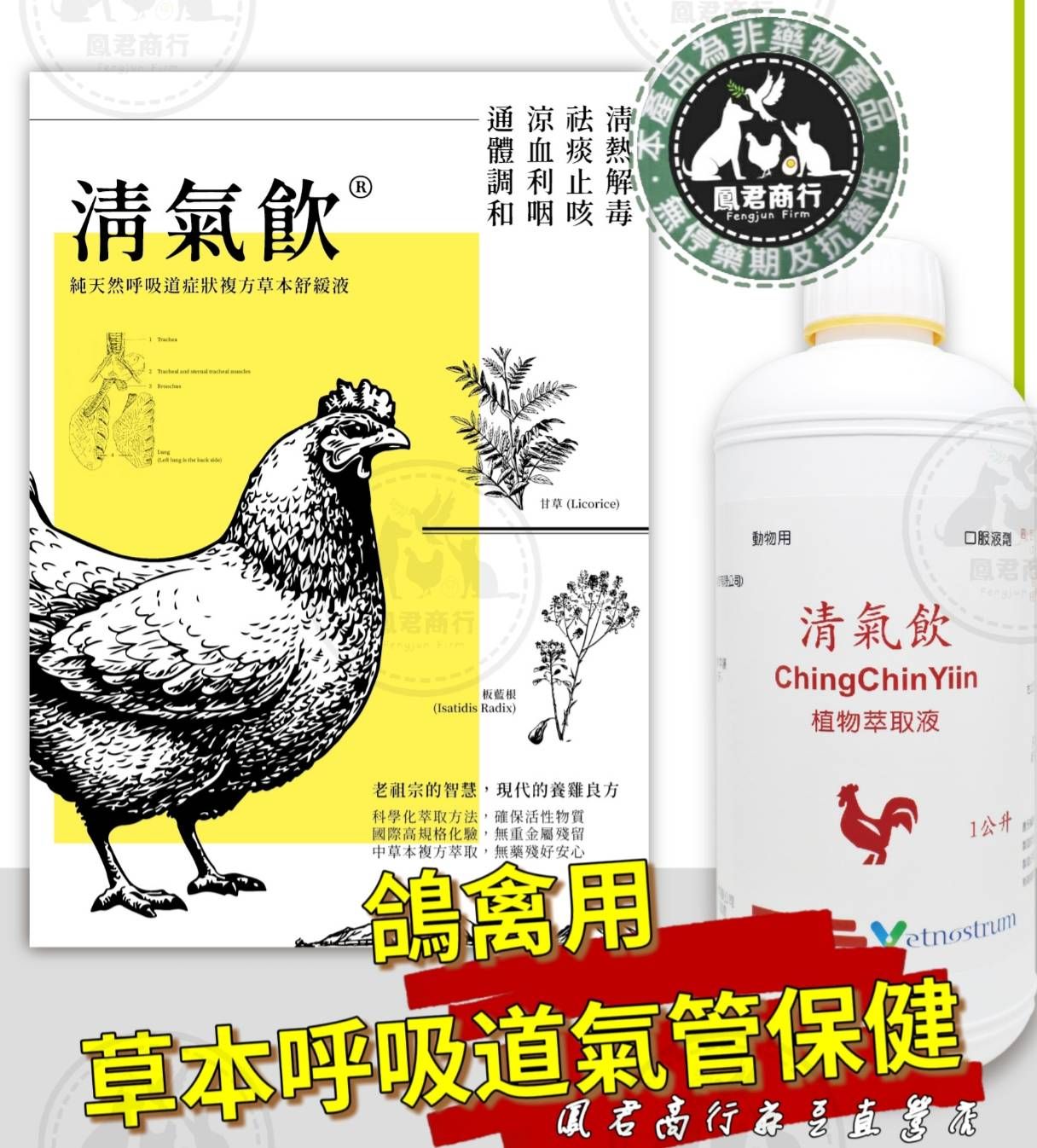 鳳君商行清氣飲1L/瓶感冒/支氣管