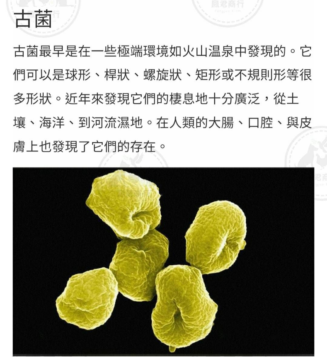 鳳君商行 益活礦物菌， 美國專利製菌 黑金剛 黑金剛70g 止瀉 血便 腸炎