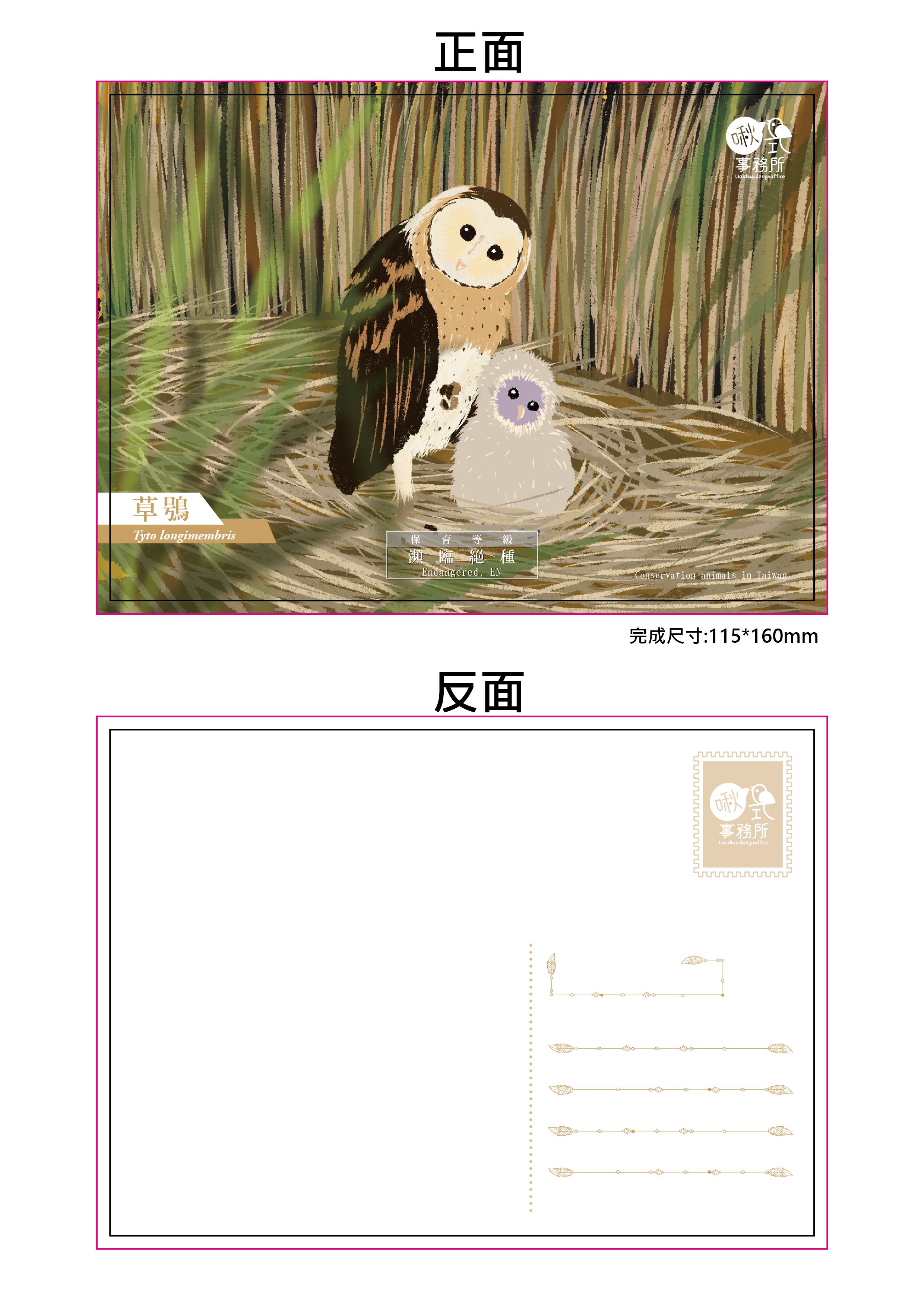 放大版明信片（象牙卡）