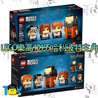 LEGO樂高40495哈利波特主角大頭