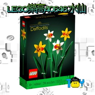 LEGO樂高40646水仙花