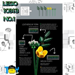 LEGO 10313野花花束 零件包 補充包