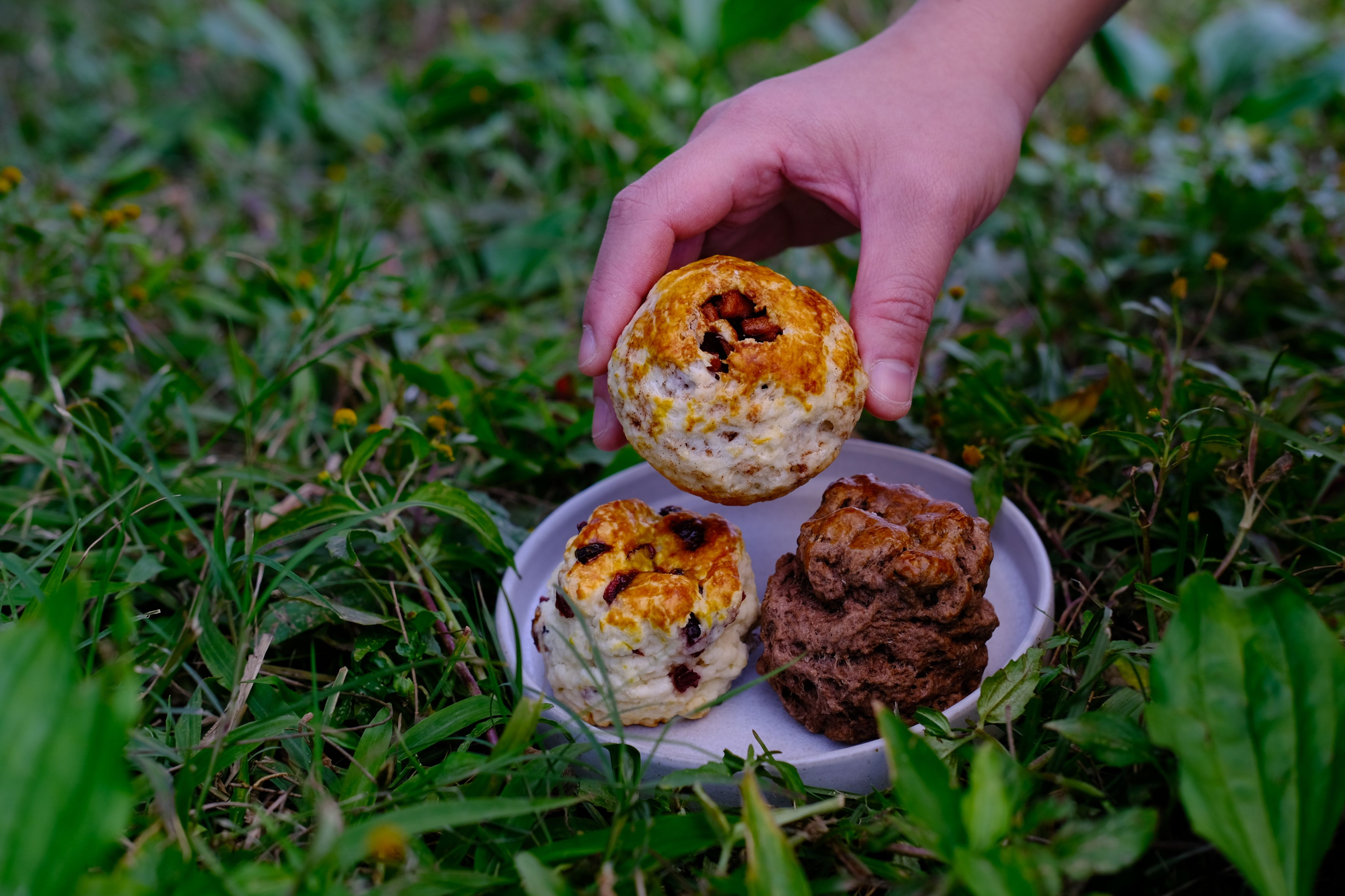 司康  單顆獨立小包裝