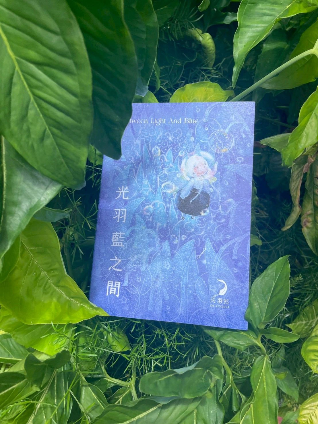 光羽藍之間 Between Light and Blue_圖文畫冊