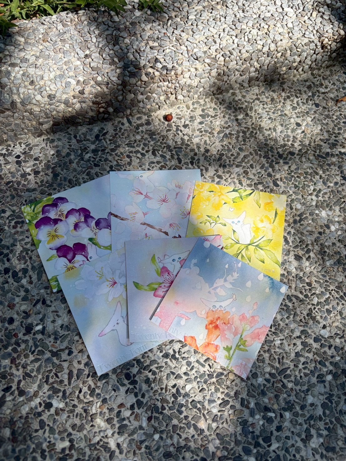 二十四節氣卡片盲抽