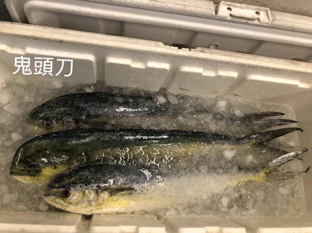 船釣鬼頭刀