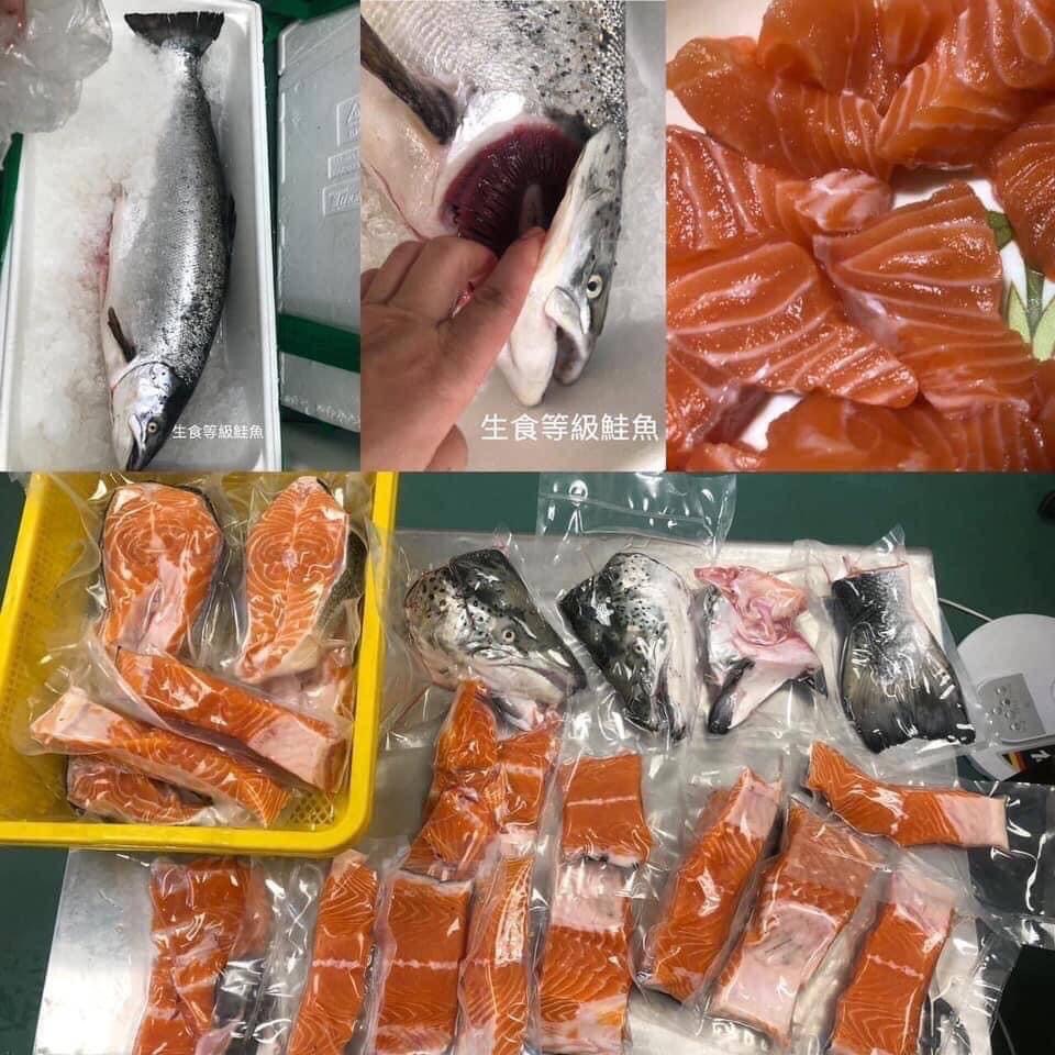 空運高級野生鮭魚