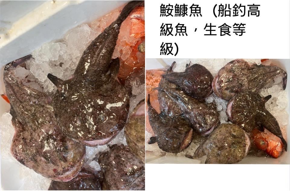 船釣鮟鱇魚