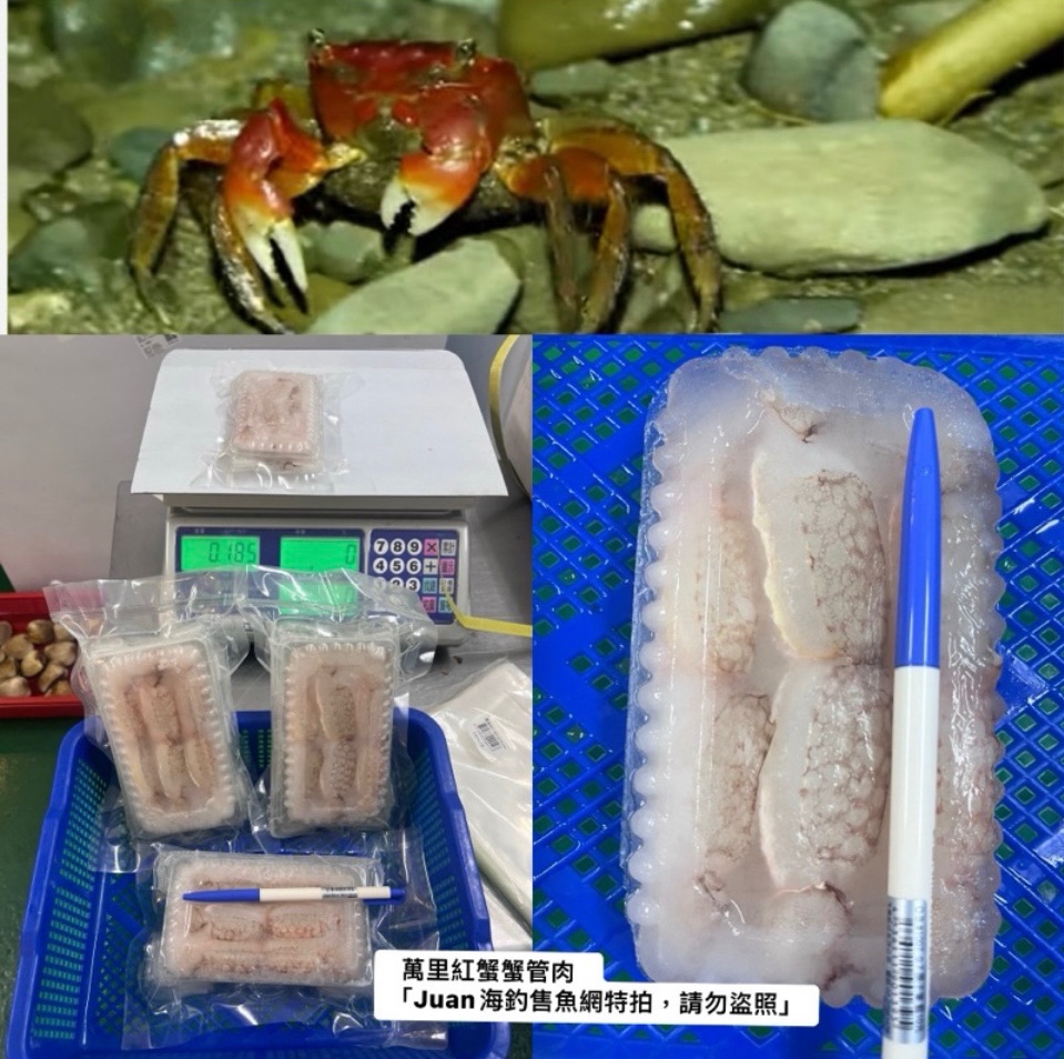 本地萬里紅蟹蟹管肉