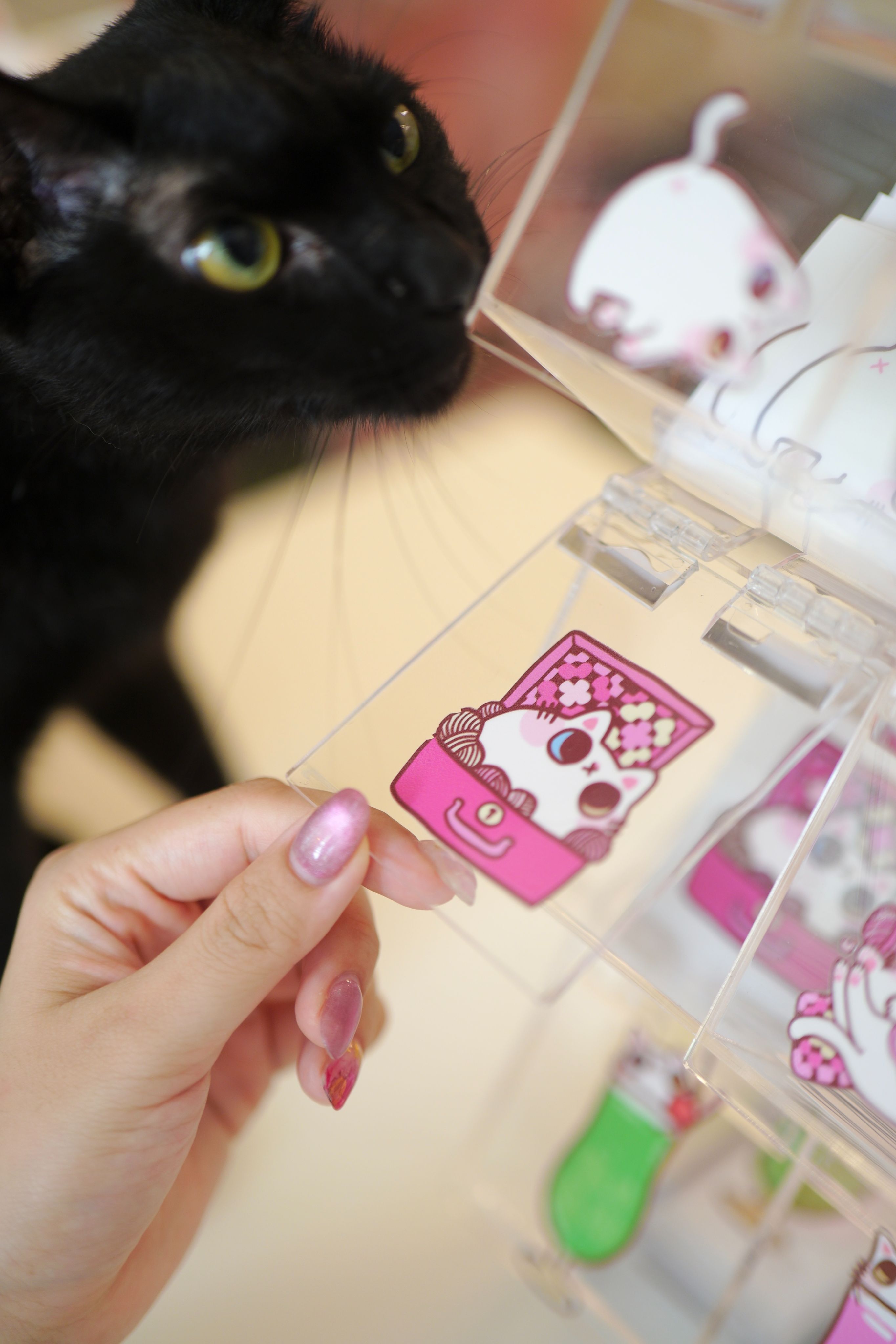 肉球的水晶感壓貼紙1~50