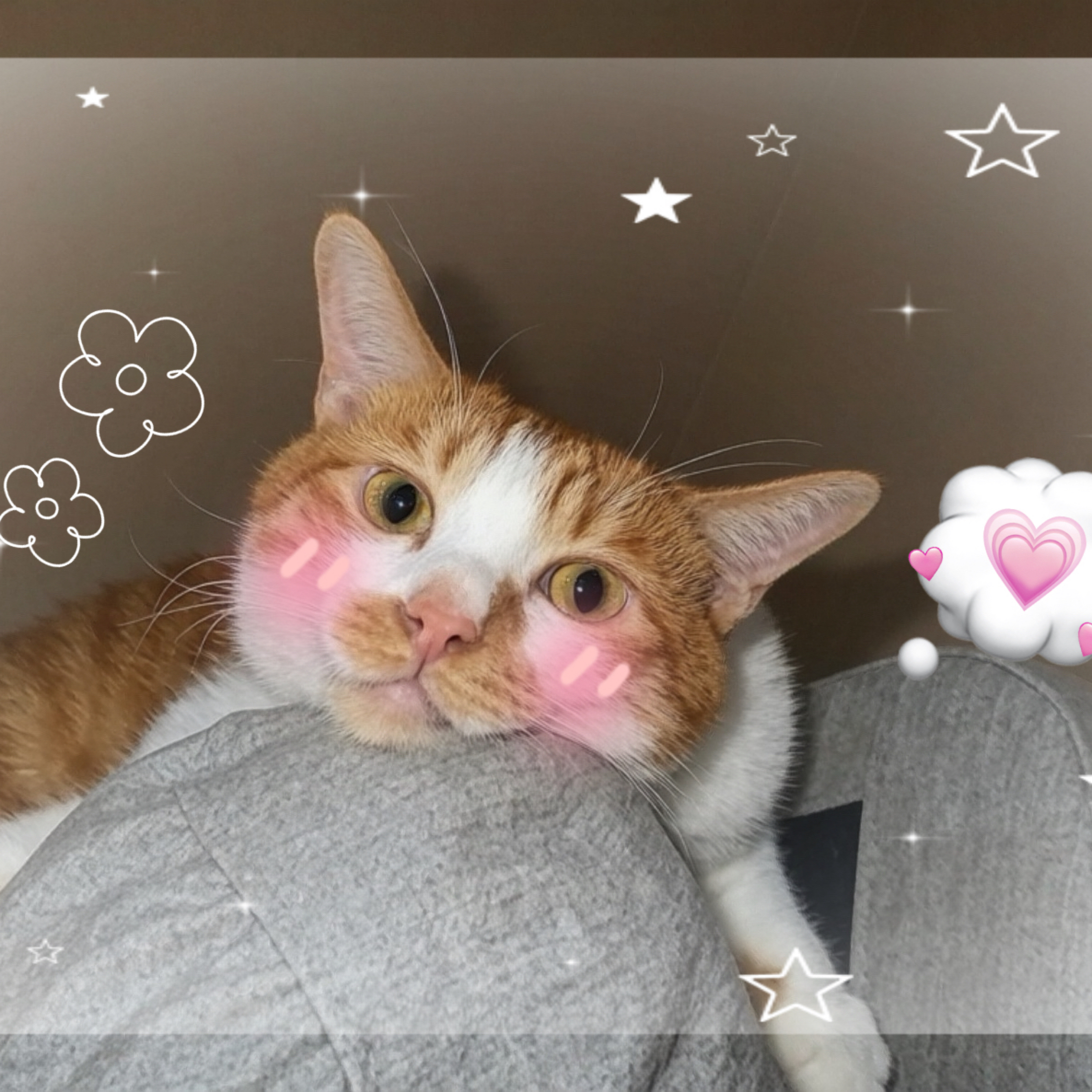 數量＝商品總金額💰多按的就當你們給我小費了😍